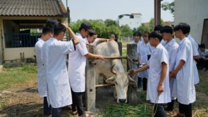 Cao đẳng thú y từ xa