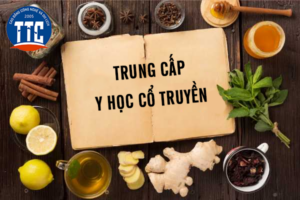 Học Trung cấp y học cổ truyền