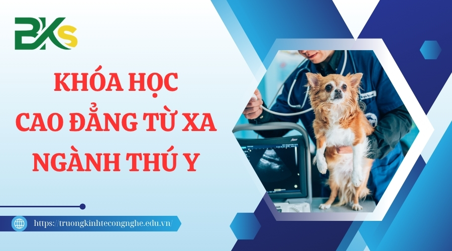 Khóa học Cao đẳng từ xa ngành Thú y