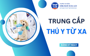 Trung cấp Thú y Từ xa