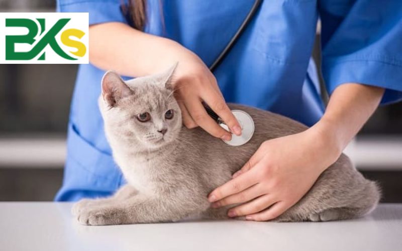 Tuyển sinh Cao đẳng Thú y liên thông