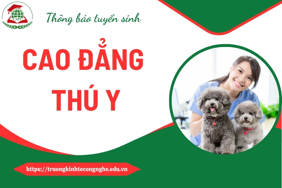Tuyển sinh lớp Cao đẳng Thú y liên thông mới cập nhật