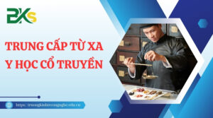 Khóa học Trung cấp từ xa ngành Y học cổ truyền