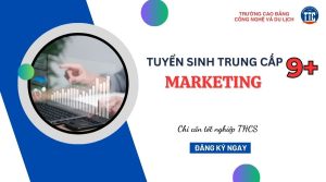 Trung cấp Marketing hệ 9+