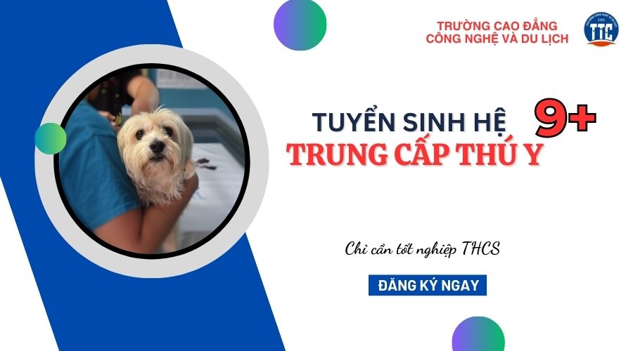 Trung cấp Thú y hệ 9+