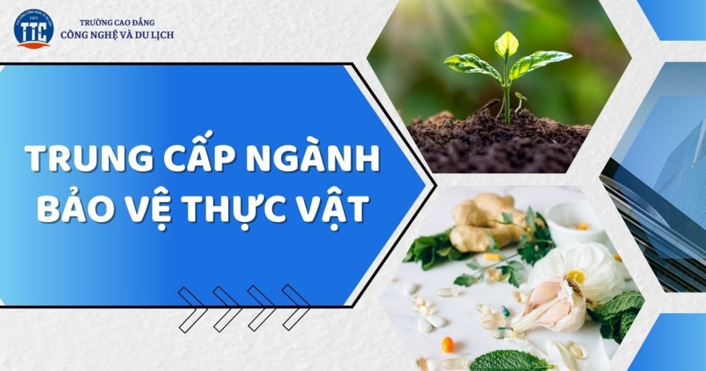 Trung cấp ngành Bảo vệ thực vật