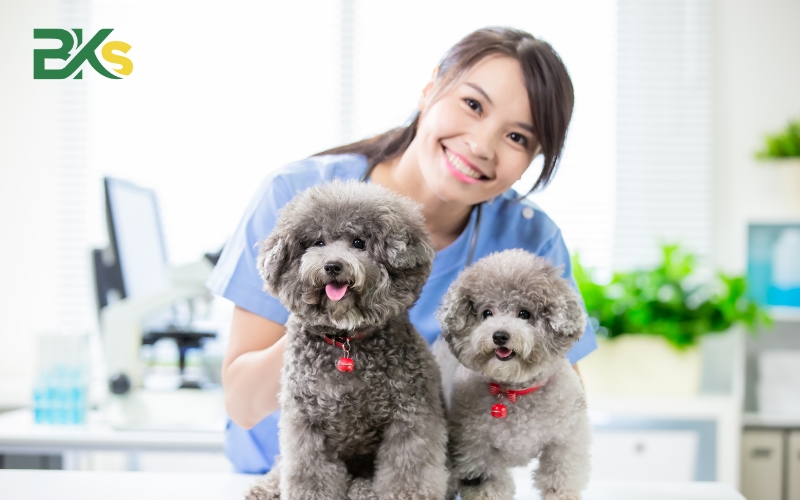 đào tạo Trung cấp Thú y vừa học vừa làm