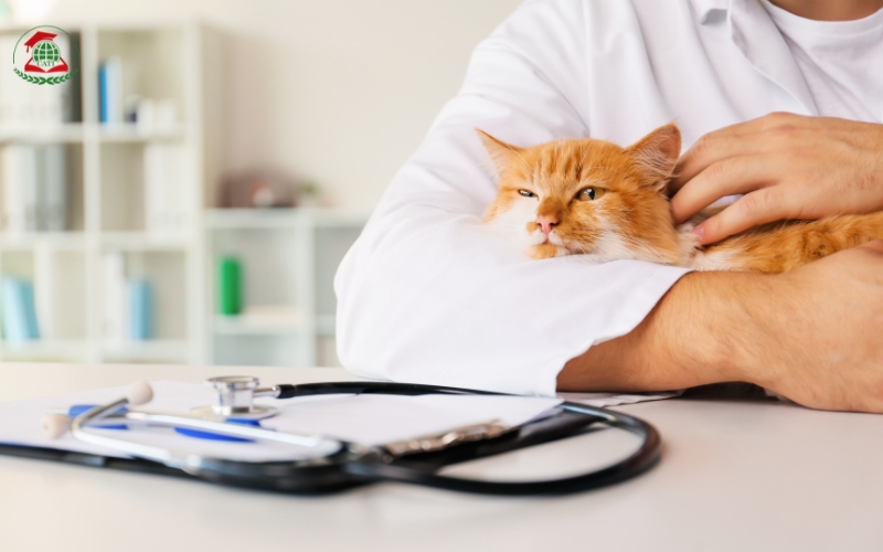 Mức Học phí của Cao đẳng Thú y tại các trường Cao đẳng có cao không?