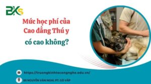 Mức học phí của Cao đẳng Thú y có cao không?