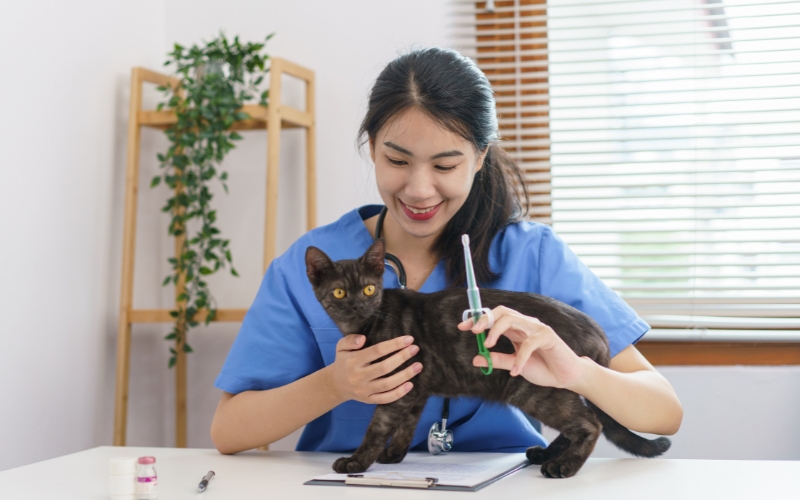 Học phí Trung cấp Thú y có cao không?
