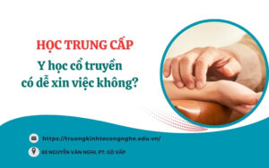 Học Trung cấp Y học cổ truyền có dễ xin việc không?