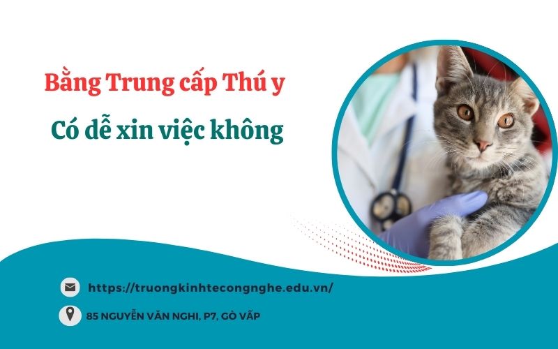 Bằng Trung cấp Thú y có dễ xin việc không?