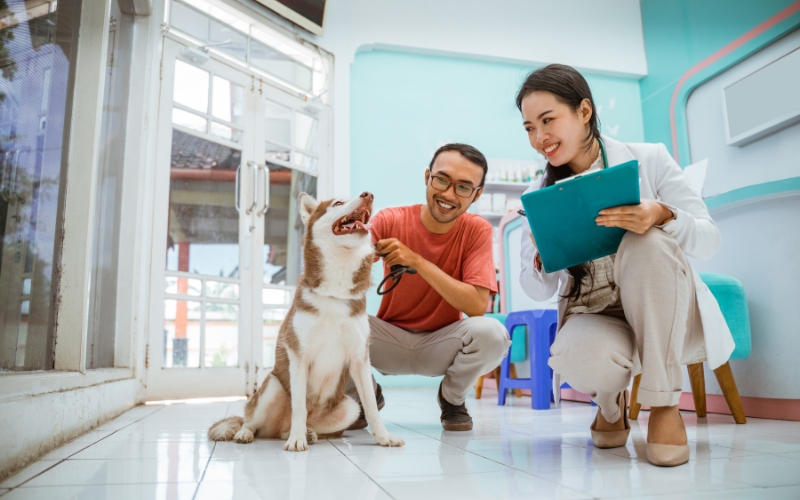 Đăng ký học Trung cấp Thú y ở đâu uy tín?