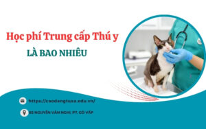 Học phí Trung cấp Thú y tại Trường Cao đẳng Công nghệ và Du lịch là bao nhiêu