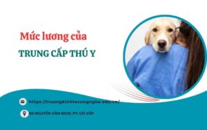 Mức lương của Trung cấp Thú y sau khi ra trường
