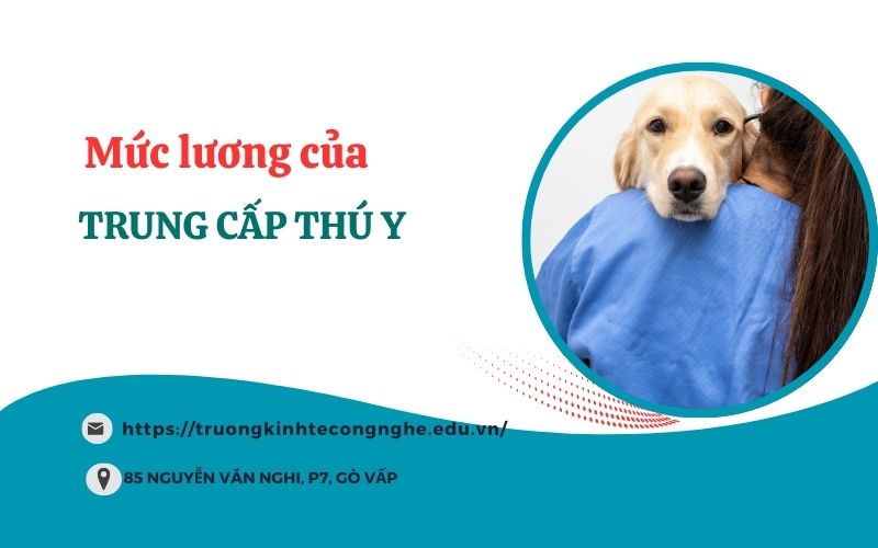 Mức lương của Trung cấp Thú y sau khi ra trường