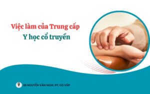 Việc làm của Trung cấp Y học cổ truyền sau khi ra trường