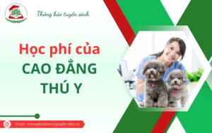 Mức học phí của Cao đẳng Thú y có cao không?