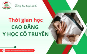 Thời gian học Cao đẳng Y học cổ truyền có lâu không?