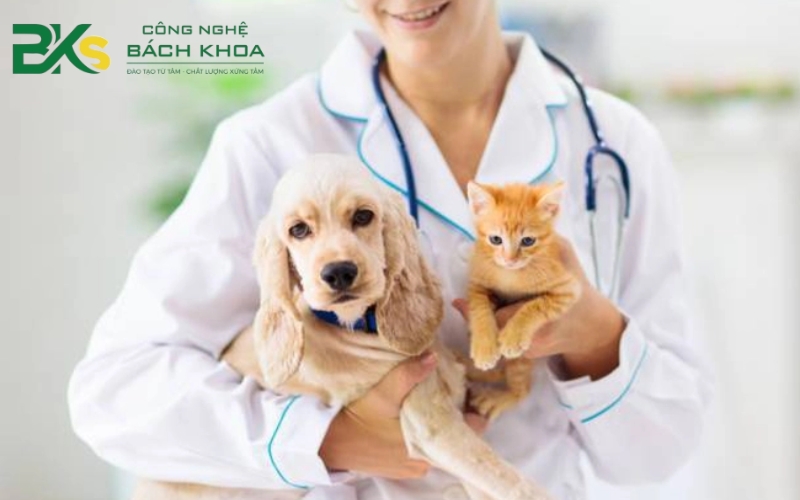 Cần chuẩn bị những gì để có việc làm ổn định sau khi ra trường?