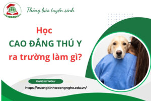 Học Cao đẳng Thú Y ra trường làm gì?