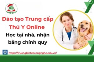 Đào tạo Trung cấp Thú Y Online