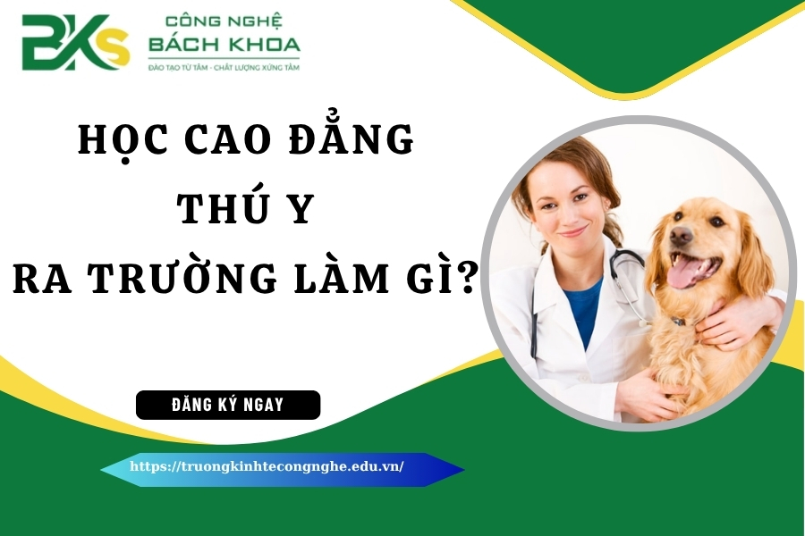 Học Cao đẳng Thú Y ra trường làm gì?