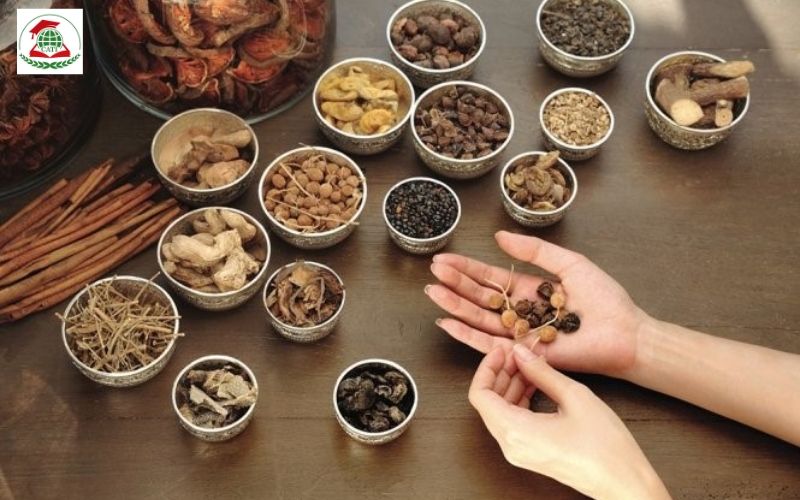 Công việc sau khi ra trường Trung cấp Y học cổ truyền Từ xa