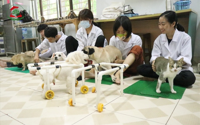 Tại sao nên chọn học Trung cấp Thú Y vừa học vừa làm