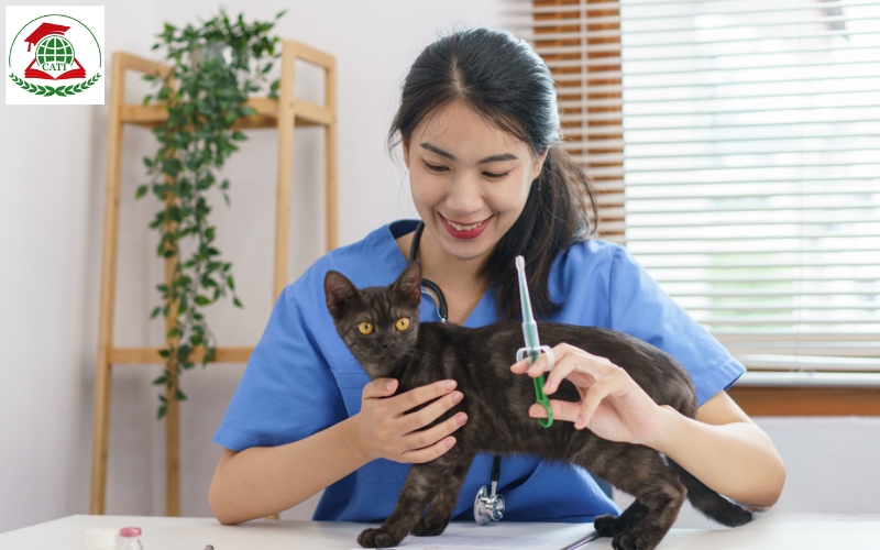 Trường đào tạo Trung cấp Thú y uy tín tại Bình Phước