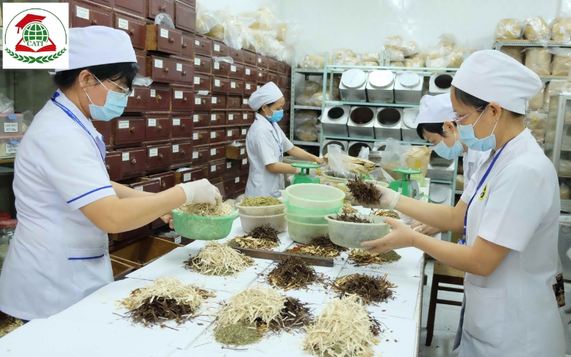 Chương trình học Trung cấp Y học cổ truyền trực tuyến