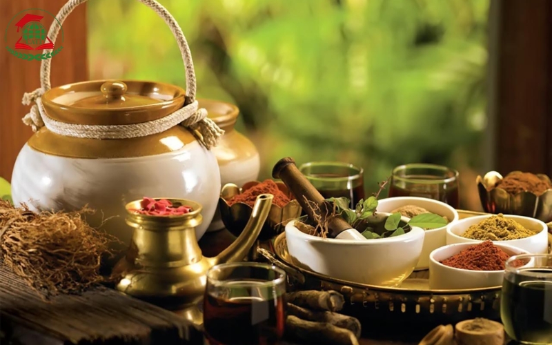 Tại sao nên chọn học Trung cấp Y học cổ truyền Từ xa