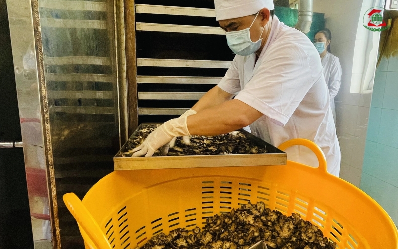 Bằng cấp sau khi tốt nghiệp Trung cấp Y học cổ truyền