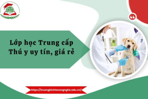 Lớp học Trung cấp Thú y uy tín, giá rẻ