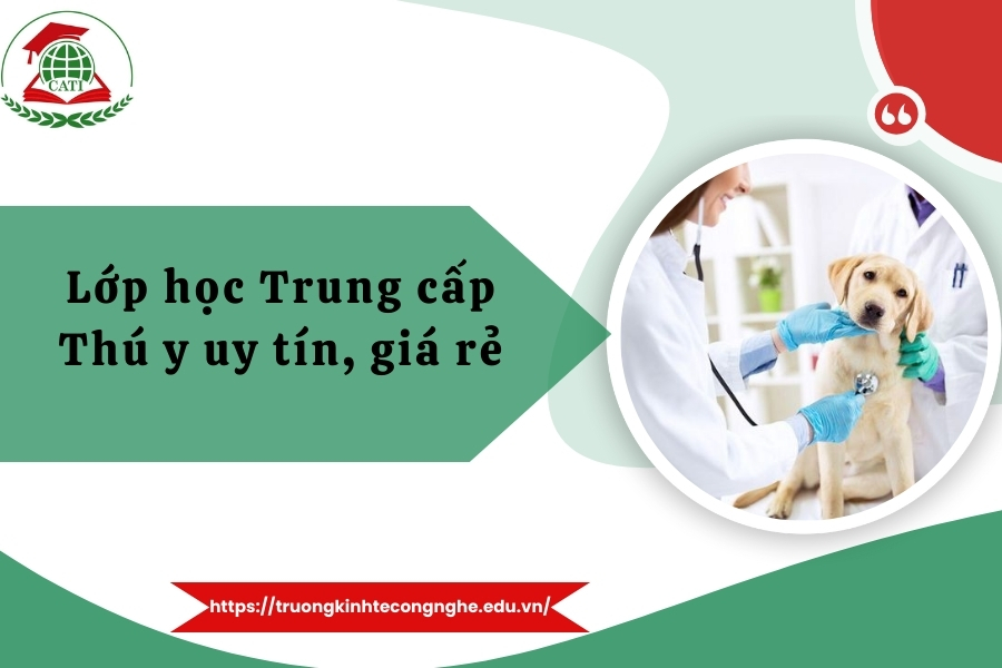 Lớp học Trung cấp Thú y uy tín, giá rẻ