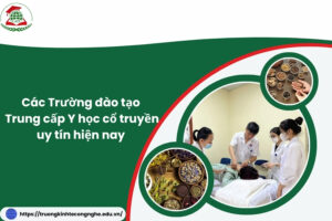 Các Trường đào tạo Trung cấp Y học cổ truyền uy tín hiện nay