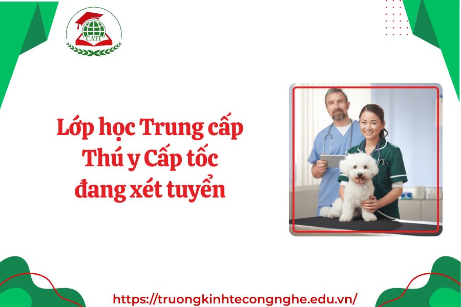 Lớp học Trung cấp Thú y Cấp tốc đang xét tuyển