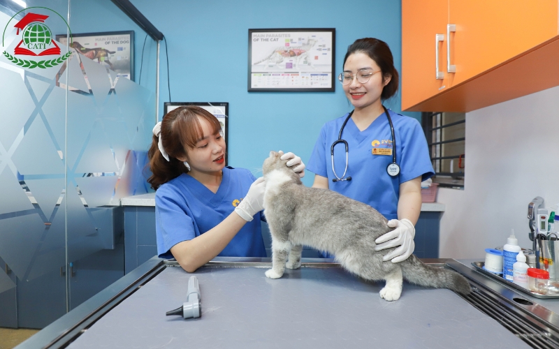 Tiêu chí để chọn trường đào tạo Trung cấp Thú y uy tín