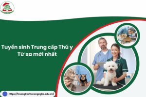 Tuyển sinh Trung cấp Thú y Từ xa mới nhất