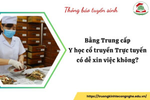 Bằng Trung cấp Y học cổ truyền Trực tuyến có dễ xin việc không?