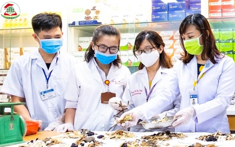 Địa chỉ học Trung cấp Y học cổ truyền Từ xa tại Long An