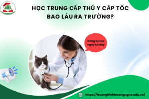 Học Trung cấp Thú y Cấp tốc bao lâu ra trường?