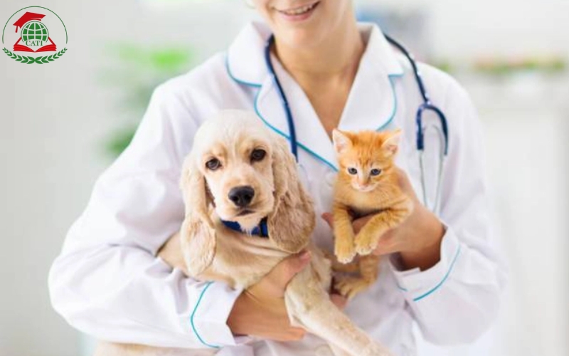 Tại sao nên chọn học Trung cấp Thú y Cấp tốc