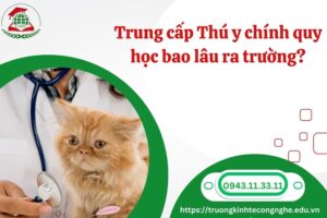 Trung cấp Thú y chính quy học bao lâu ra trường?