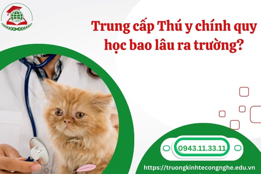 Trung cấp Thú y chính quy học bao lâu ra trường?