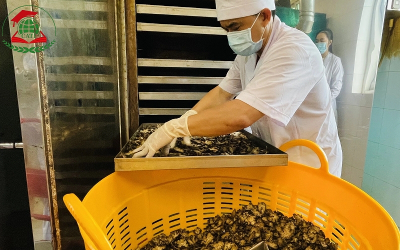 Mức lương của người tốt nghiệp Trung cấp Y học cổ truyền cao không?