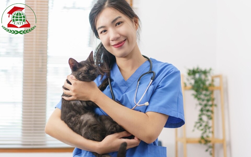 Nên chọn học Trung cấp Thú y Online hay trực tiếp để tối ưu chi phí?