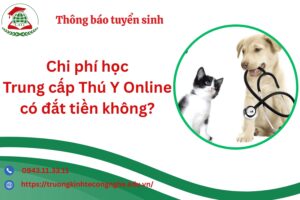 Chi phí học Trung cấp Thú Y Online có đắt tiền không?