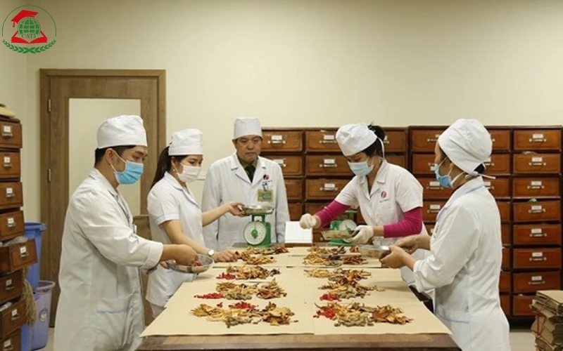 Học Trung cấp Y học cổ truyền có được cấp chứng chỉ hành nghề không?