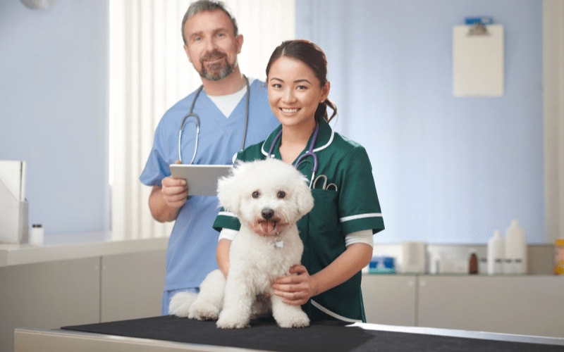 Tại sao nên chọn Học viện Cati để liên thông Cao đẳng Thú y Từ xa?